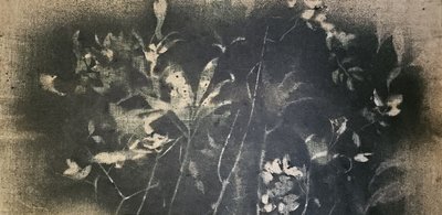Dark Botanical Study by Stefano Mazzolini