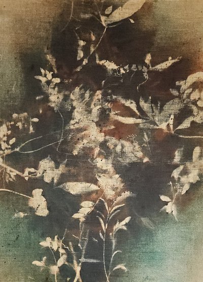 Dark Ethereal Botanicals by Stefano Mazzolini
