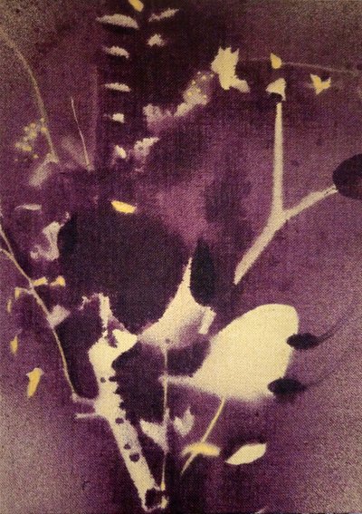Deep Purple Botanicals by Stefano Mazzolini