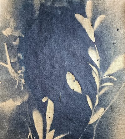 Indigo Leaf Impressions by Stefano Mazzolini
