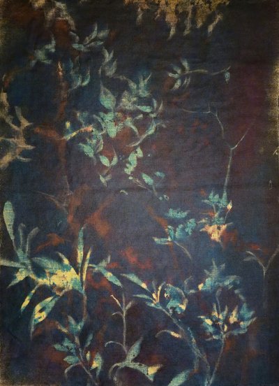 Midnight Garden Flora by Stefano Mazzolini