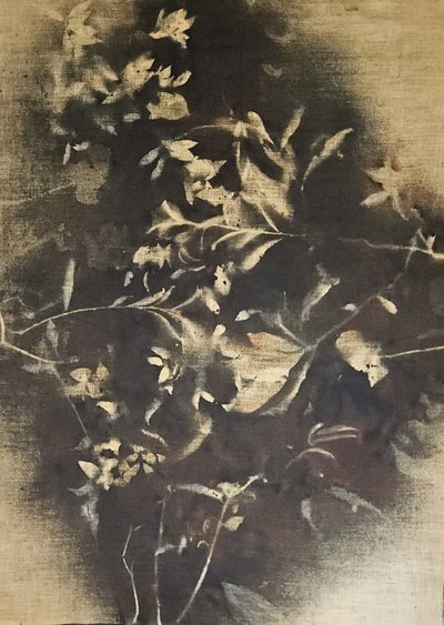 Moody Floral Shadows by Stefano Mazzolini