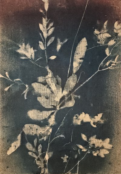 Vintage Blue Botanicals by Stefano Mazzolini