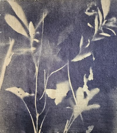 Vintage Botanical Blues by Stefano Mazzolini