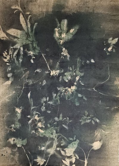 Vintage Botanical Shadows by Stefano Mazzolini