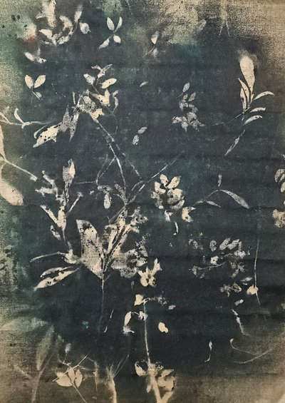Vintage Botanical Silhouettes by Stefano Mazzolini