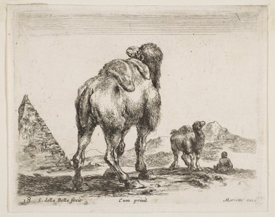 Plate 18: camel viewed from behind with pyramid at left, from Various animals by Stefano della Bella