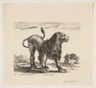 Plate 6: Lion from 
