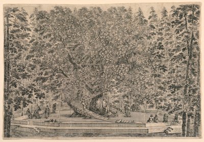 Tree with Two Spiral Stairs by Stefano della Bella
