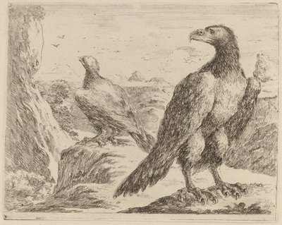 Two Eagles, Both with Heads Turned to the Left by Stefano della Bella