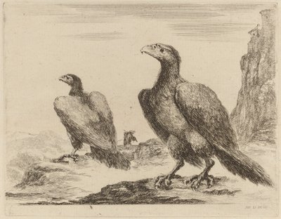 Two Eagles, Both with Heads Turned to the Left, On a High Cliff by Stefano della Bella