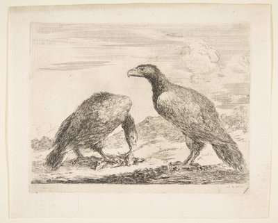 Two Eagles, One Devouring a Lamb, from Eagles, ca. 1651 by Stefano della Bella