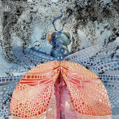 Dragonfly 1 by Stephanie Law