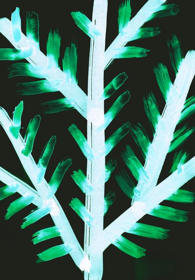 Winter II, 2017 by Stephen Dow