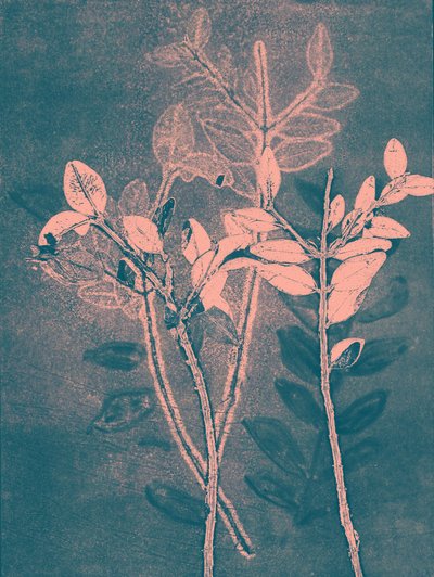 Season VI, 2018 by Stephen Dow