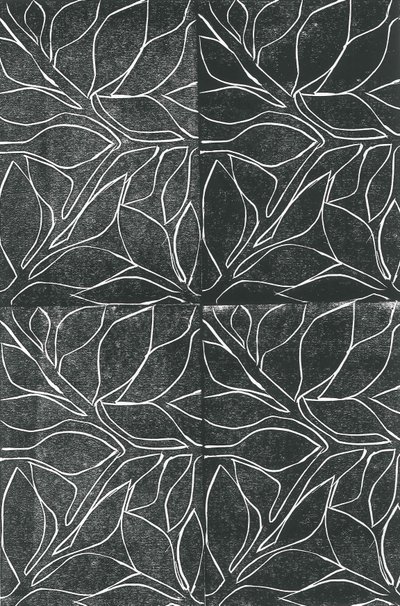 Vines by Stephen Dow