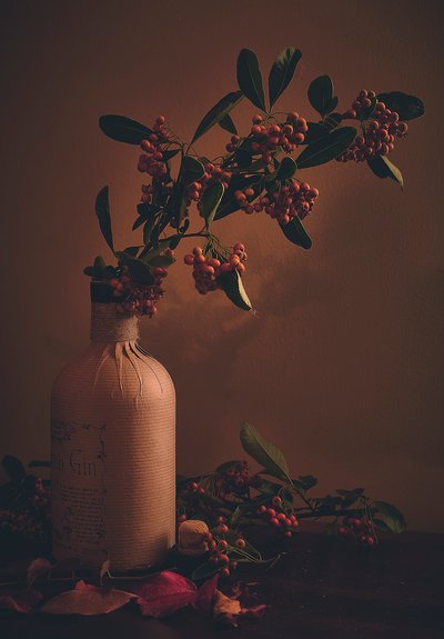 Rustic Berries in Bottle by Stuart Williams