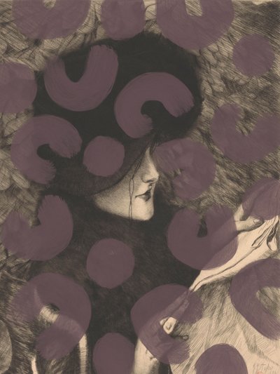 Elegant Woman In Fur by Studio Palette