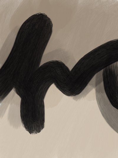 Flowing Black Curve by Studio Palette
