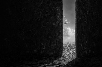 Freedom Flight by Sulaiman Almawash