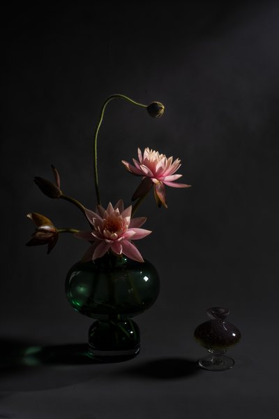 Elegant Pink Lilies by Summer2016