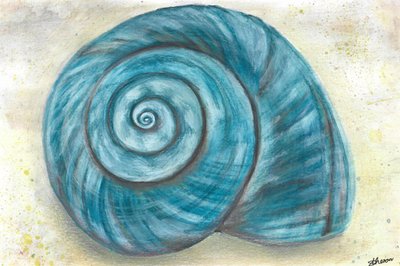 Blue Spiral Shell by Sunet Theron