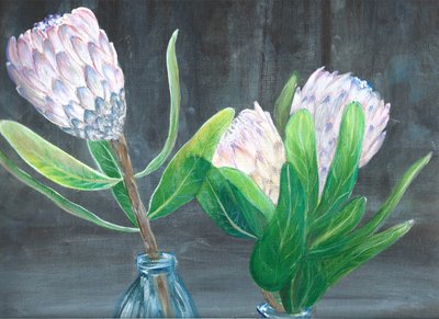Pink Protea Still Life by Sunet Theron