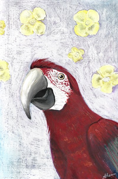 Tropical Macaw Blooms by Sunet Theron