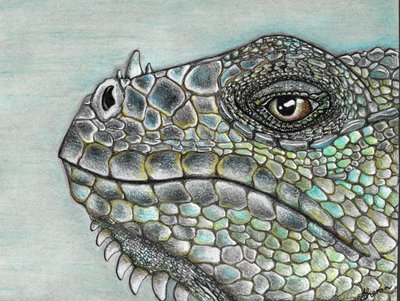 Vivid Iguana Scales by Sunet Theron