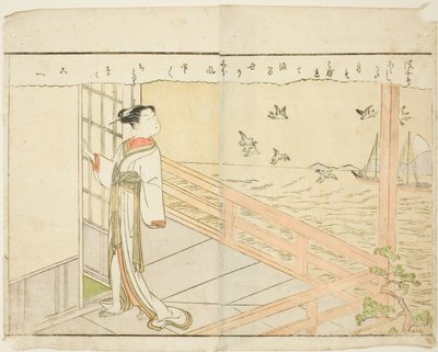 Double-page Illustration from Vol. 2 of 