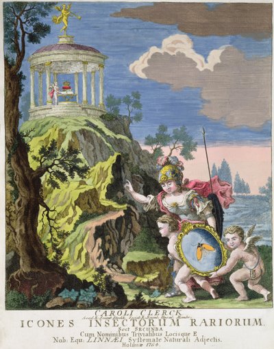 Frontispiece of Icones Insectorum Rariorum by C. Clerck, 1764 by Swedish School
