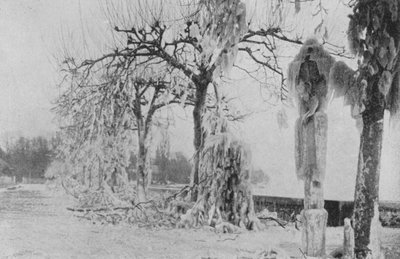 At Paquis in Geneva, Winter 1896 by Swiss Photographer