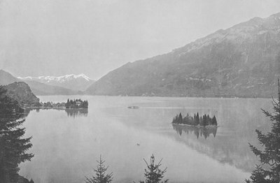Iseltwald, Lake Brienz by Swiss Photographer