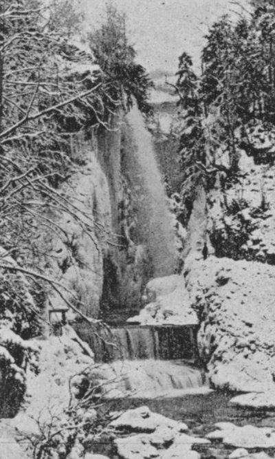 Les Corges du Taubenloch, pres Bienne en hiver by Swiss Photographer