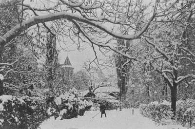 Neuchatel, The English Garden by Swiss Photographer