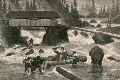 Wood-Floaters by Swiss School