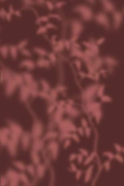 Soft Botanical Shadows by THE MIUUS STUDIO