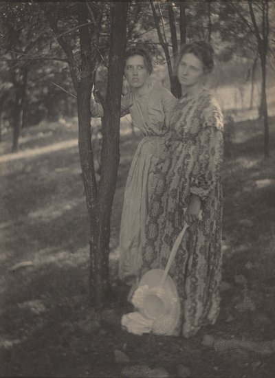 In the Woods, c. 1899 by T. M. Edmiston