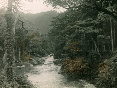 Autumn Forest in the Yamanaka Region, circa 1900 - 1915 by Teijiro Takagi