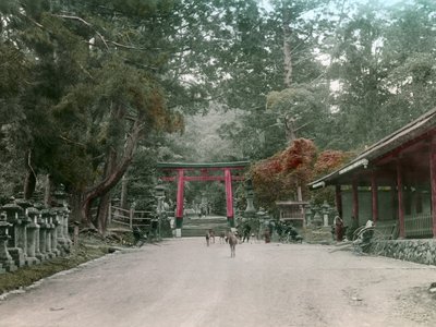 Entrance to the Lantern Shrine in Kasauga Taisha Park, Nara, circa 1900 - 1915 by Teijiro Takagi
