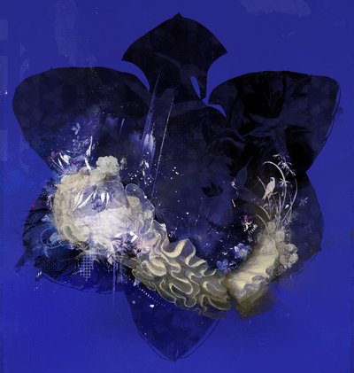 Floralcollar, 2016 by Teis Albers