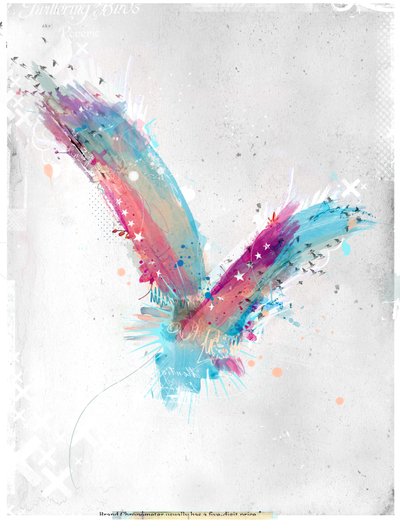 In flight by Teis Albers