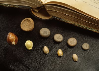 Cowrie shell money and terracotta coins from the Ayutthaya period by Thai School