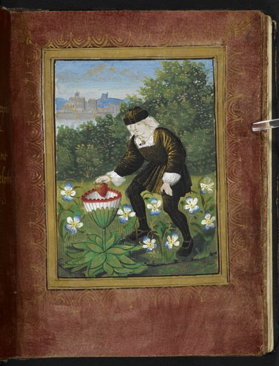 Miniature of Pierre Sala dropping 