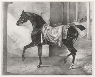 A Black Horse Tethered in a Stable by Theodore Gericault