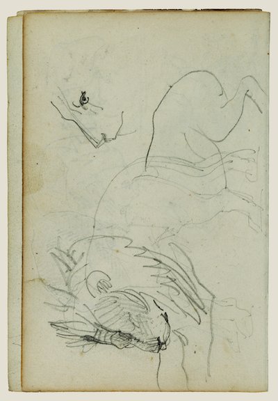 Lion Studies by Theodore Gericault