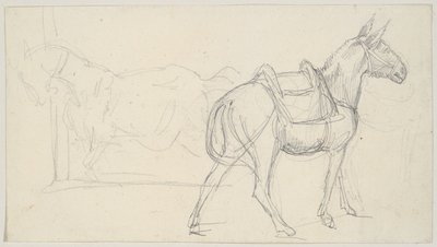 Sketch of a Horse by Theodore Gericault