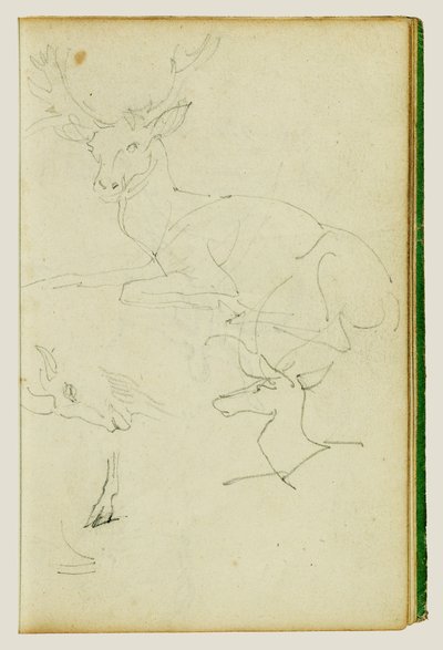 Studies of a Seated Stag, a Fawn, a Goat Head by Theodore Gericault