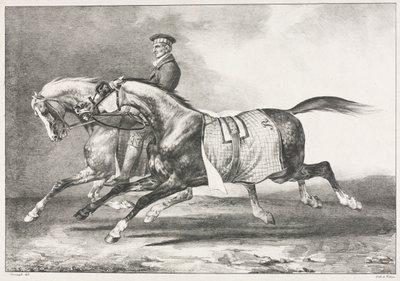 Two Dappled Horses Exercising by Theodore Gericault