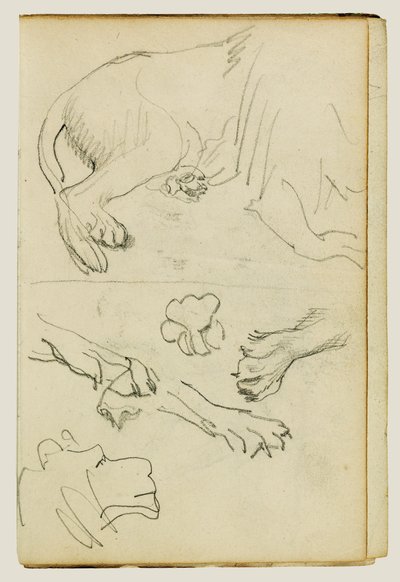 Various studies of lion leg, paws and head by Theodore Gericault